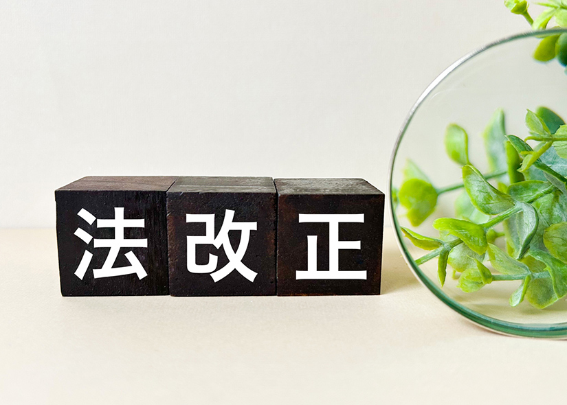 「法改正」と書かれた黒い立方体ブロックと、右側に置かれたガラス容器に入った緑の植物の写真
